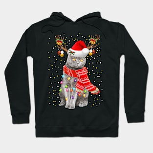 Scottish Fold Cat Christmas Hoodie